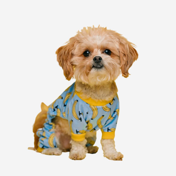 Dog T-shirt Blue